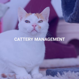 Cattery Management