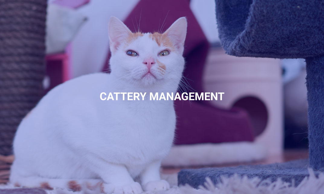 Cattery Management