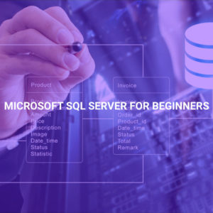 Microsoft SQL Server for Beginners