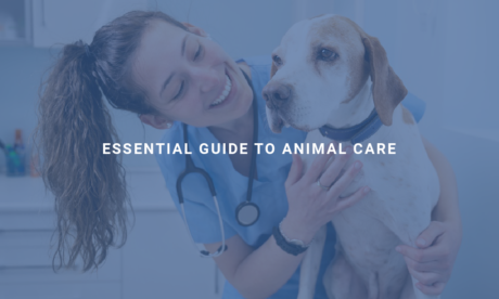 Essential Guide to Animal Care