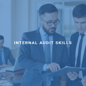 Internal Audit Skills