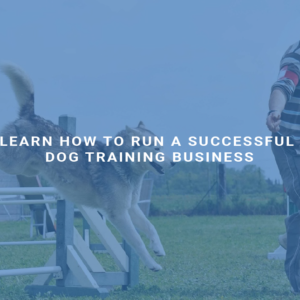 Learn How to Run a Successful Dog Training Business