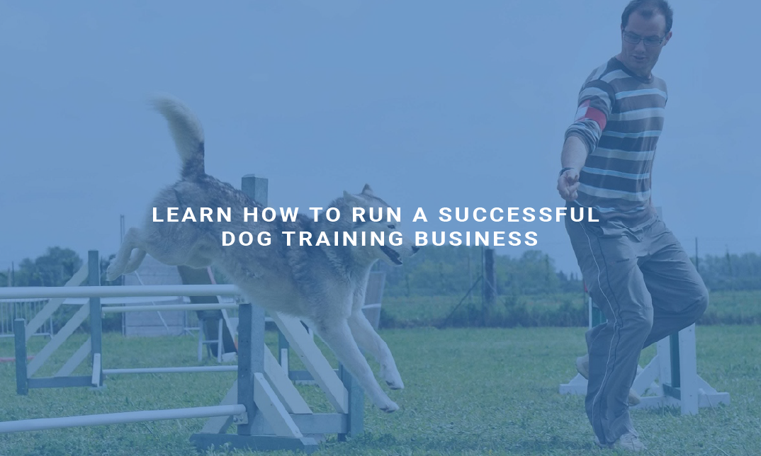 Learn How to Run a Successful Dog Training Business