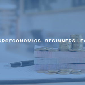 Microeconomics- Beginners Level