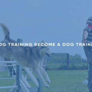 Dog Training: Become a Dog Trainer