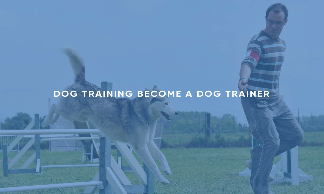 Dog Training: Become a Dog Trainer