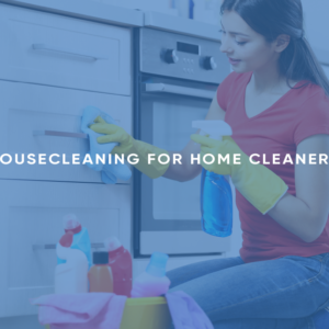 Housecleaning for Home Cleaners
