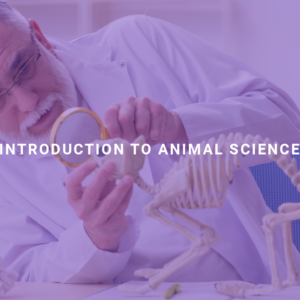 Introduction to Animal Science