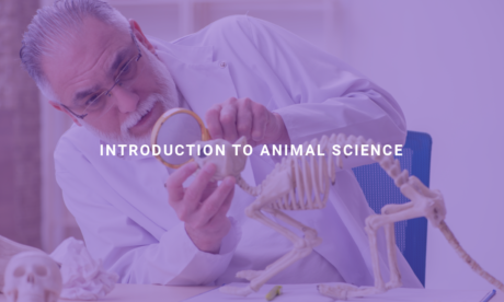 Introduction to Animal Science