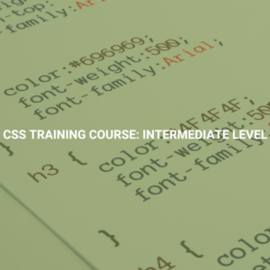 CSS Training Course: Intermediate Level