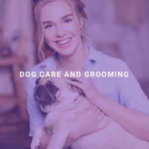 Dog Care and Grooming