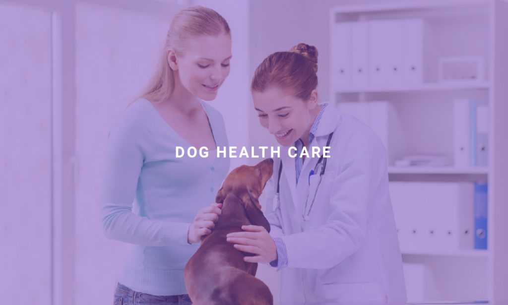 Dog Health Care Alpha Academy