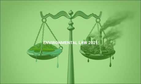 Environmental Law 2021