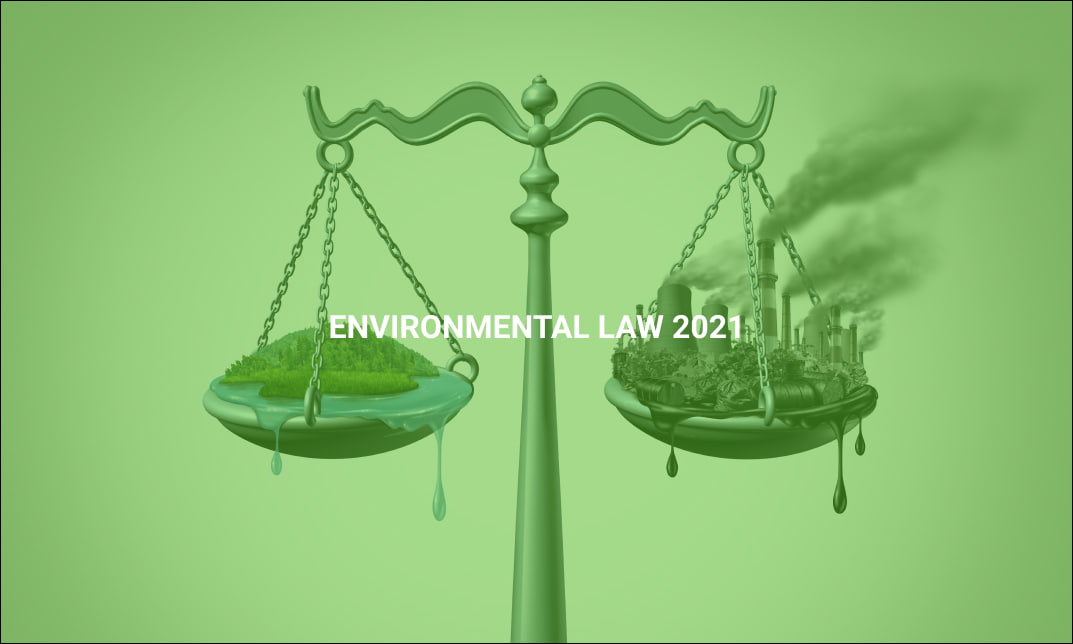 Environmental Law 2021
