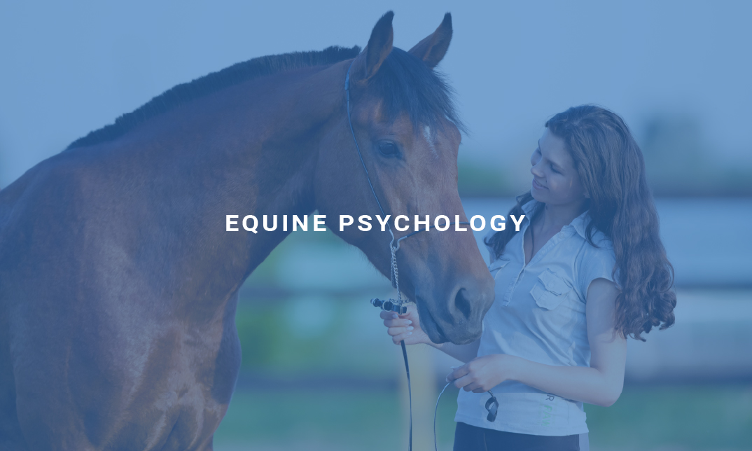 Equine Psychology
