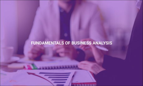 Fundamentals of Business Analysis