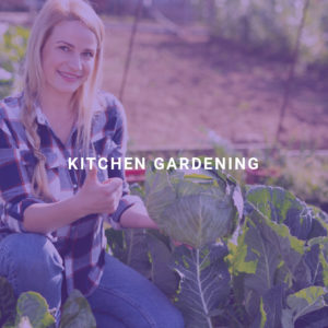 Kitchen Gardening