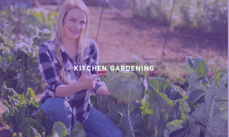 Kitchen Gardening
