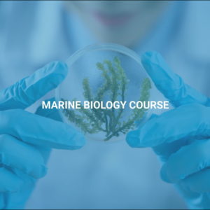 Marine Biology Course