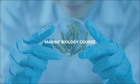 Marine Biology Course