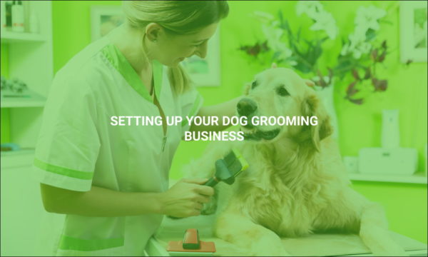 Setting Up Your Dog Grooming Business