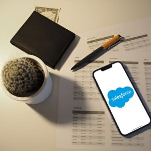 Salesforce Developer