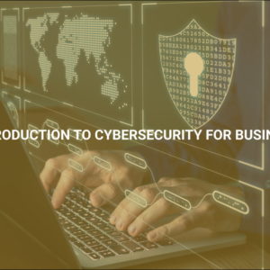 Introduction to Cybersecurity for Business