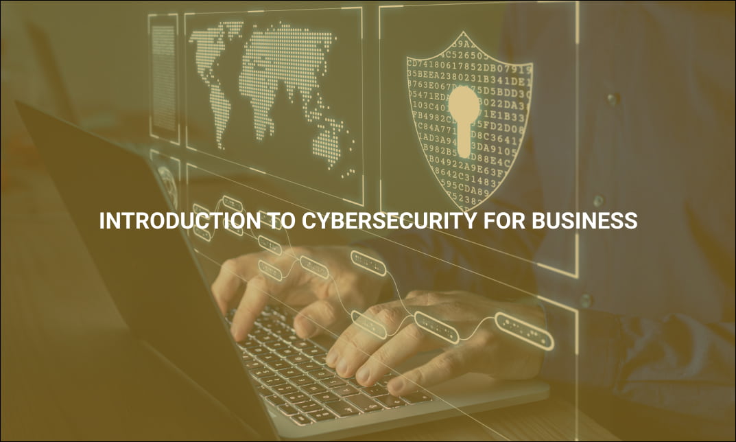 Introduction to Cybersecurity for Business