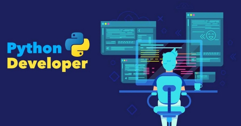 Python programmers for hire essential guidelines for the students, candidates, and employers