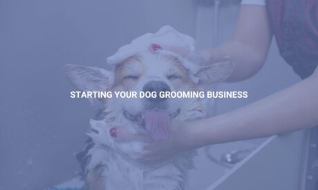 Starting Your Dog Grooming Business