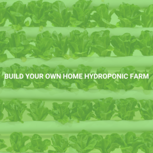 Build Your Own Home Hydroponic Farm