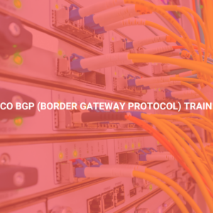 Cisco BGP (Border Gateway Protocol) Training