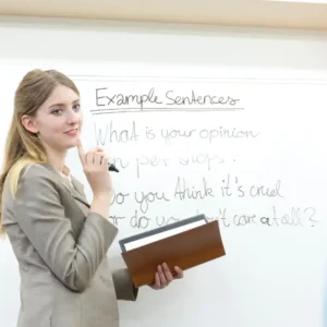 tefl online course
