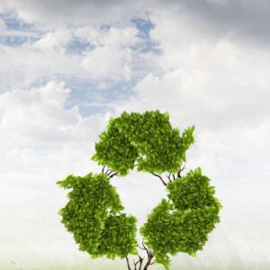 Environmental Awareness Training