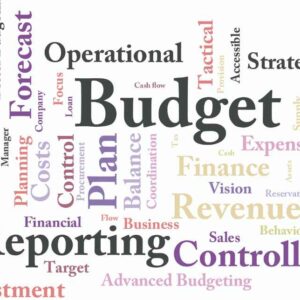 Dealing With uncertainty Make Budgets and Forecasts