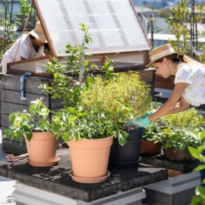 Urban Farming and Gardening