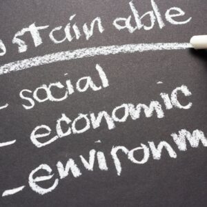 Implementing Sustainability