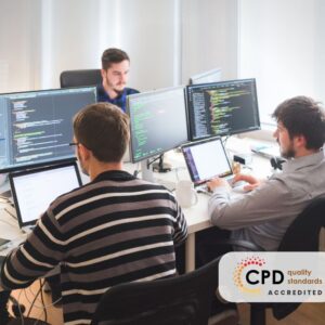Software Developer